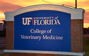 Scholarship | Veterinarians West Palm Beach | Palm Beach Veterinary Society